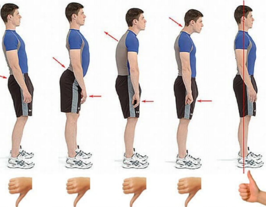 posturologique coach nutritionnel tihange